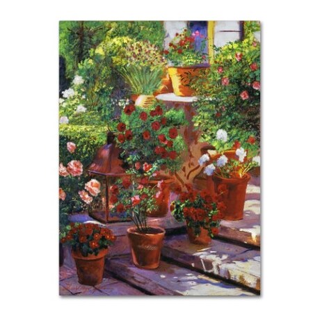 Trademark Fine Art David Lloyd Glover 'Welcoming Flowers' Canvas Art, 35x47 DLG0378-C3547GG